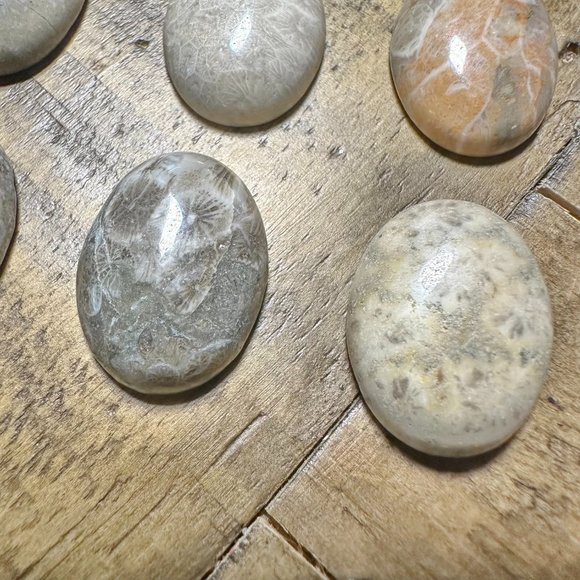 Fossilized Coral Oval Cabochon - 15x20mm - Picture 5 of 6